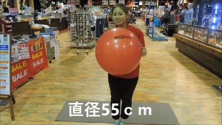 スナップショット 4 (2016-10-04 15-35)