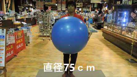 スナップショット 5 (2016-10-04 15-35)